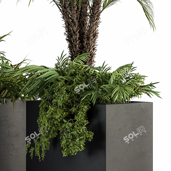 Tropical Oasis: Outdoor Plant Set 3D model image 2