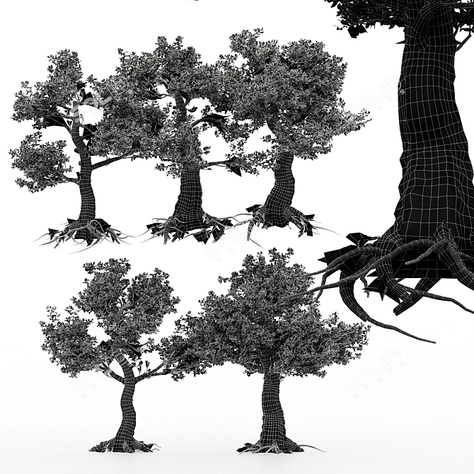 Variety of Kingsville Wood Trees 3D model image 4