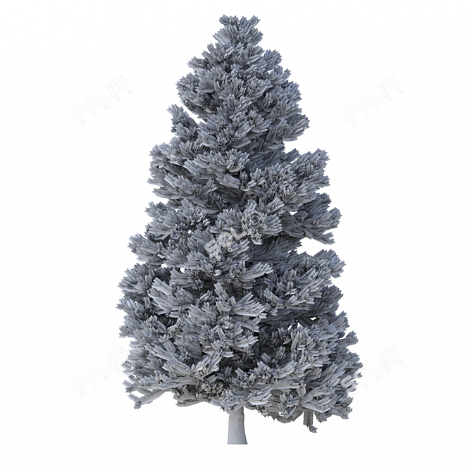 Norway Spruce 3D Tree Set 3D model image 7