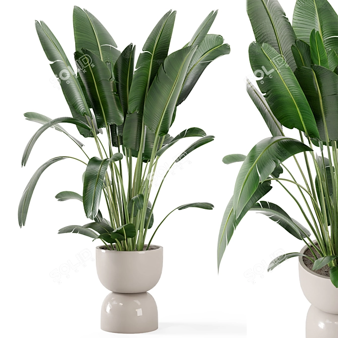 Rustic Concrete Pot Set with Indoor Plants 3D model image 1