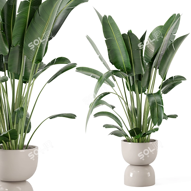 Rustic Concrete Pot Set with Indoor Plants 3D model image 2