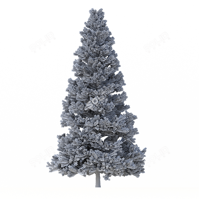 Norway Spruce Set - Realistic 3D Tree Models 3D model image 6