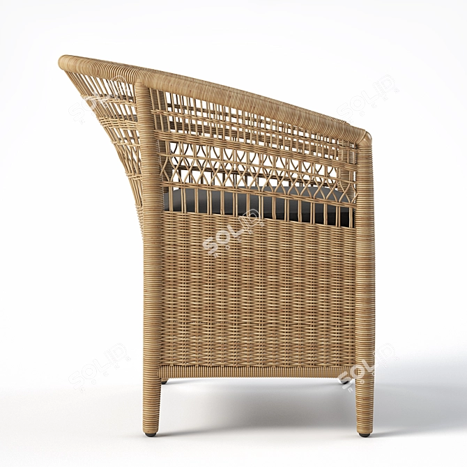 JANO Garden Chair: Synthetic Rattan, Black Cushion 3D model image 3