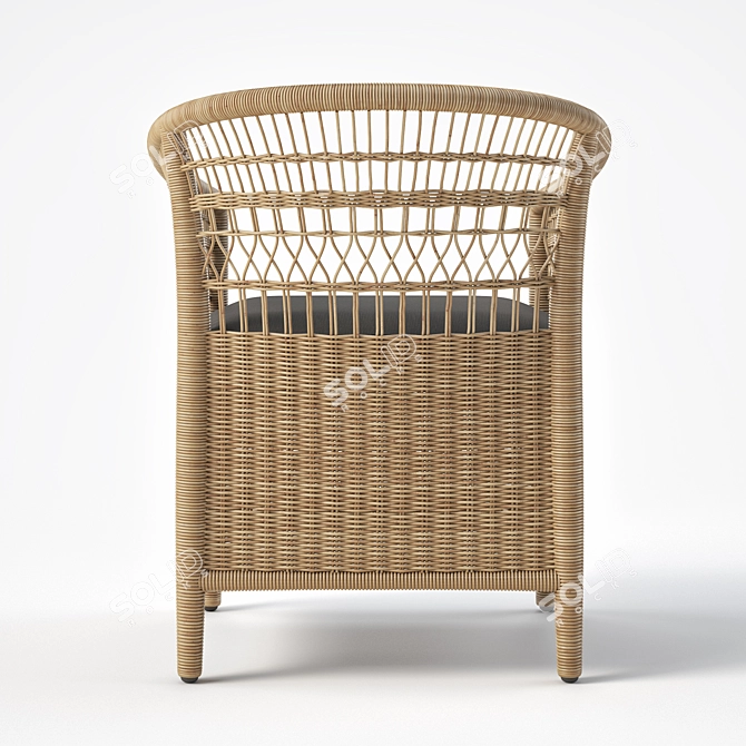 JANO Garden Chair: Synthetic Rattan, Black Cushion 3D model image 4