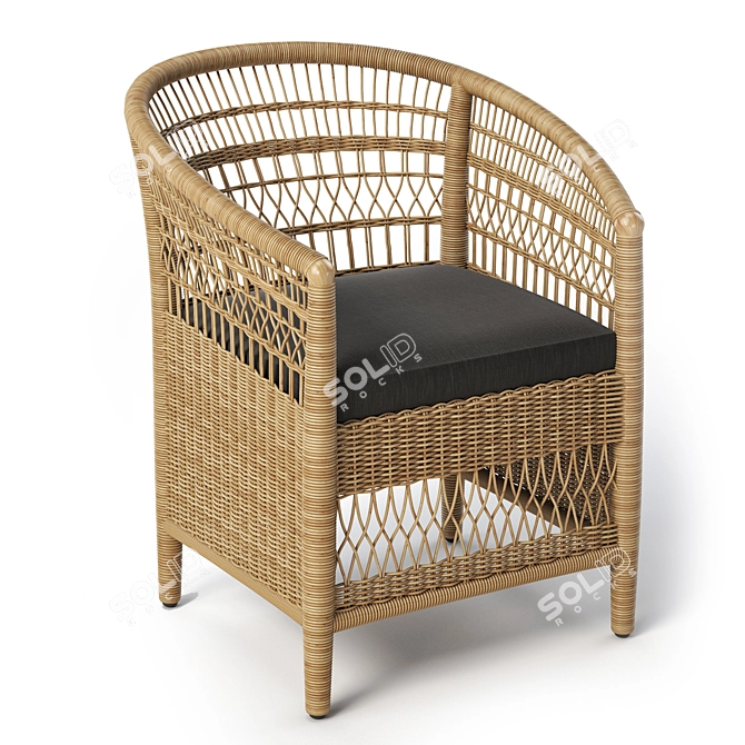 JANO Garden Chair: Synthetic Rattan, Black Cushion 3D model image 12