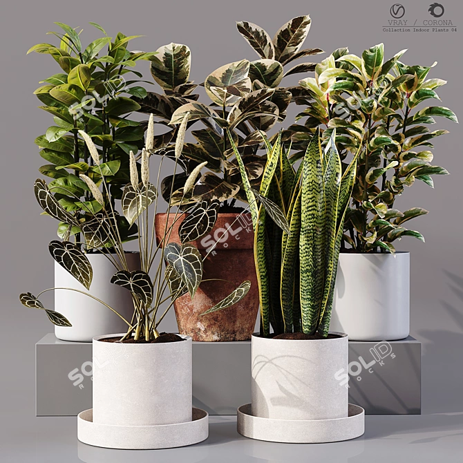 Collaction Indoor Plants 04: High-Quality, Detailed & Versatile 3D model image 1