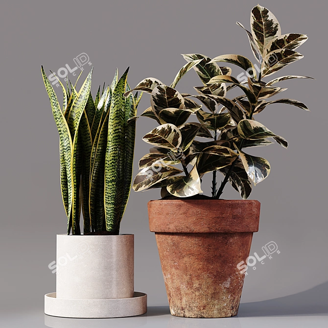 Collaction Indoor Plants 04: High-Quality, Detailed & Versatile 3D model image 2