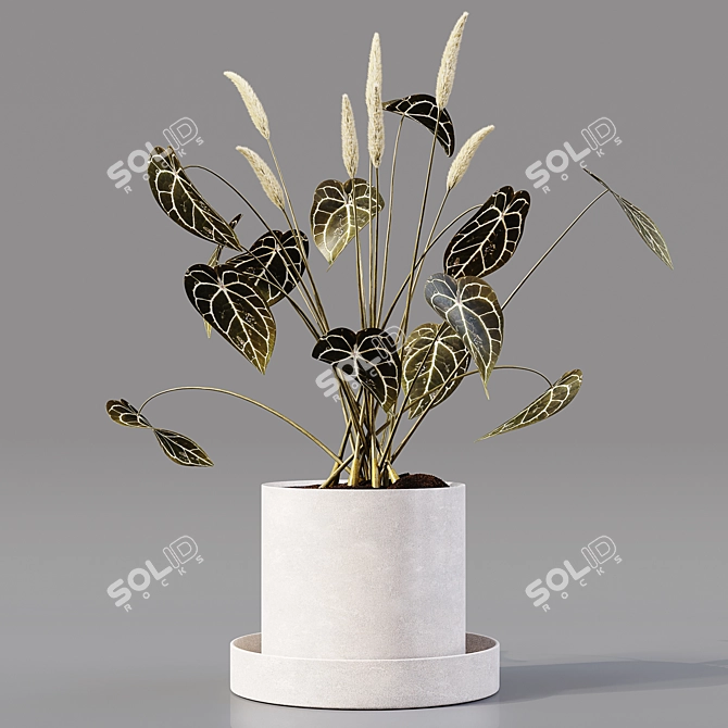 Collaction Indoor Plants 04: High-Quality, Detailed & Versatile 3D model image 3