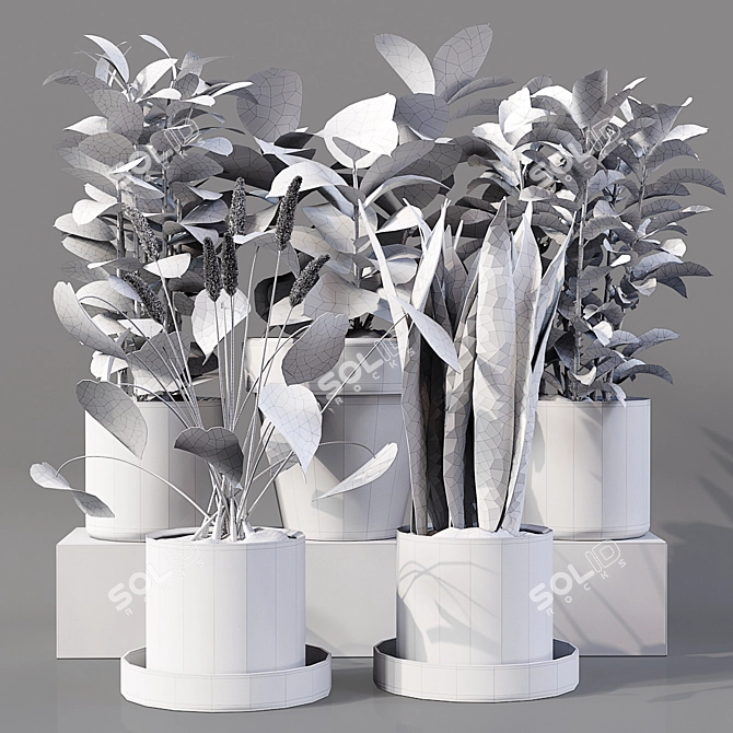 Collaction Indoor Plants 04: High-Quality, Detailed & Versatile 3D model image 10