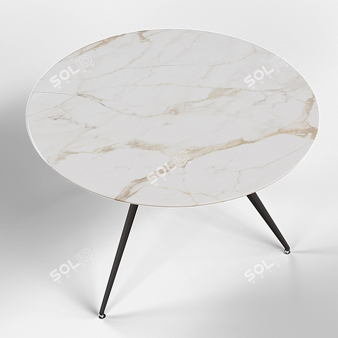 Modern Ceramic Round Table 3D model image 2