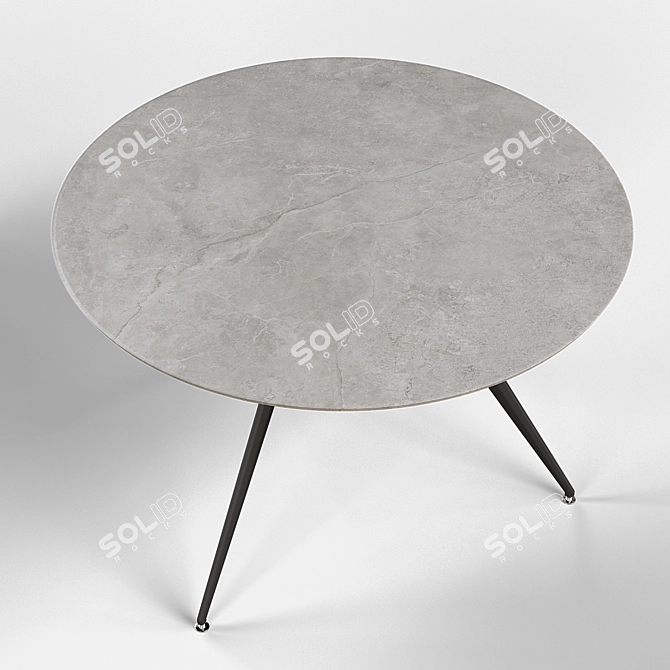 Modern Ceramic Round Table 3D model image 4