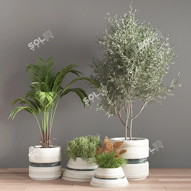 11-Piece Indoor Plant Set 3D model image 2