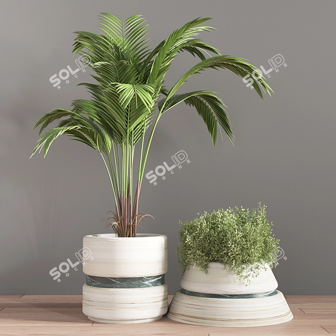 11-Piece Indoor Plant Set 3D model image 5