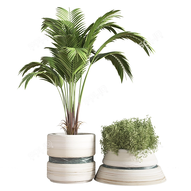 11-Piece Indoor Plant Set 3D model image 6