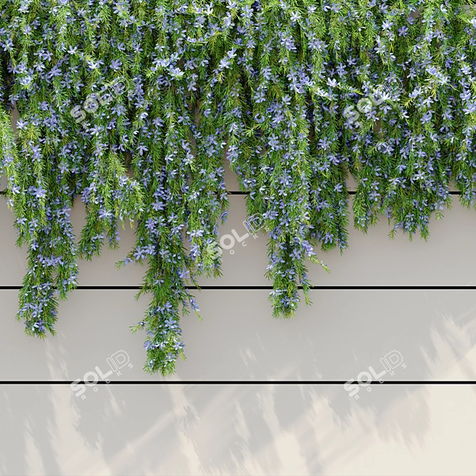 2m Cascading Rosemary: Lush & Fragrant 3D model image 2