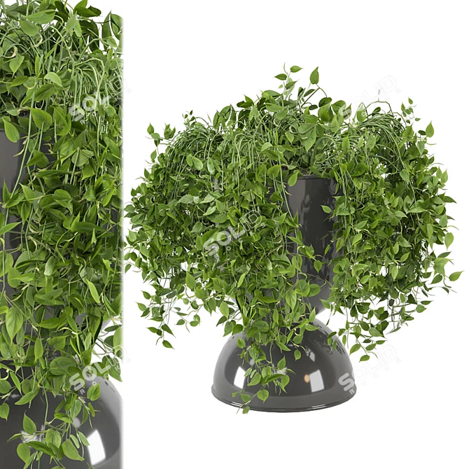 Botanical Bliss: Indoor Plants Set 3D model image 2