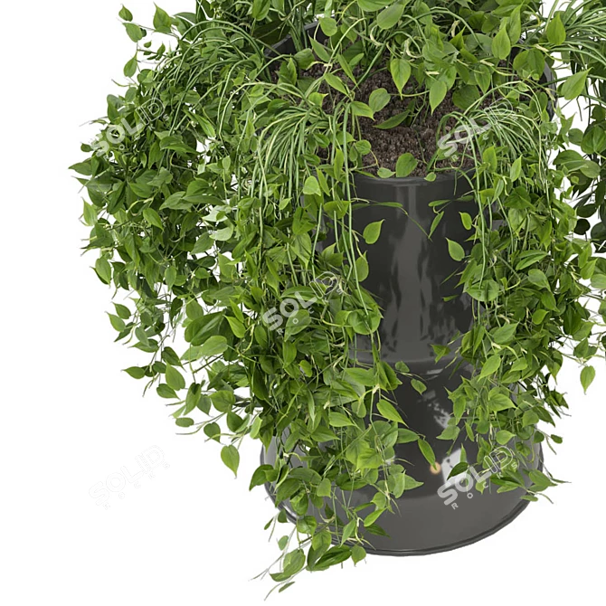 Botanical Bliss: Indoor Plants Set 3D model image 4