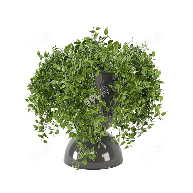 Botanical Bliss: Indoor Plants Set 3D model image 5