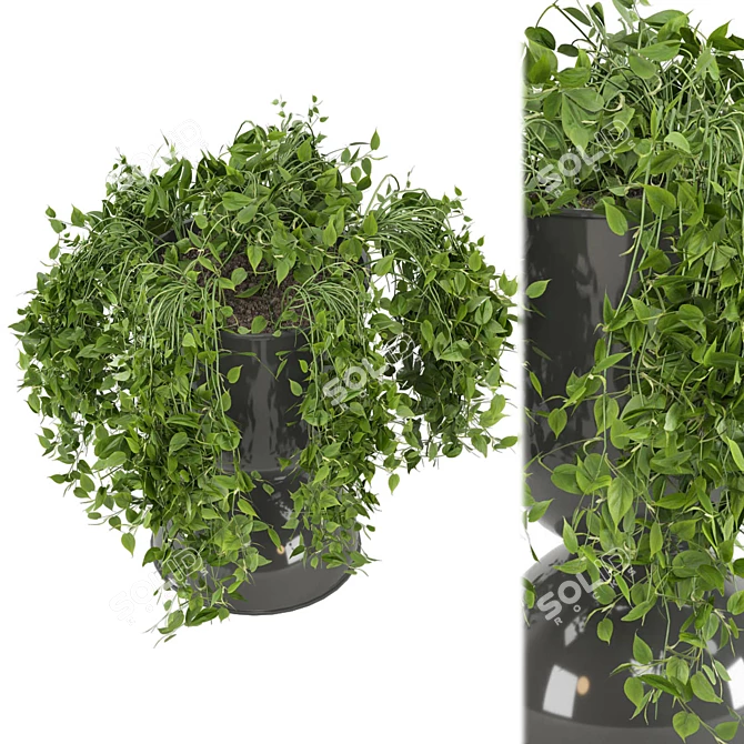 Botanical Bliss: Indoor Plants Set 3D model image 6