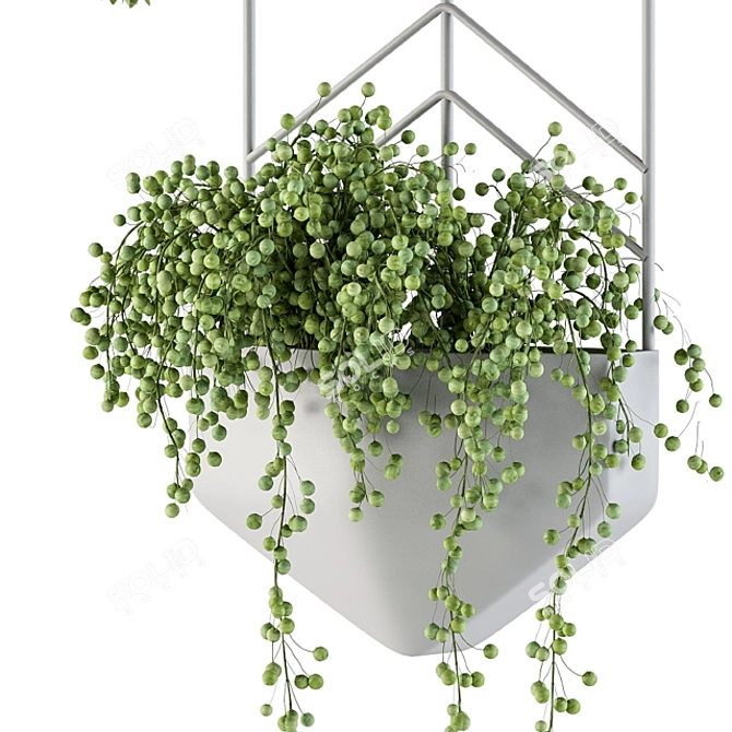Wall Mounted Plant Pot - Indoor Decor 3D model image 4