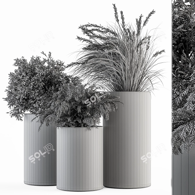 Concrete Pot Plant Set 3D model image 4