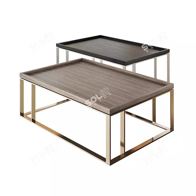 Minimalist Wood and Metal Coffee Table 3D model image 1