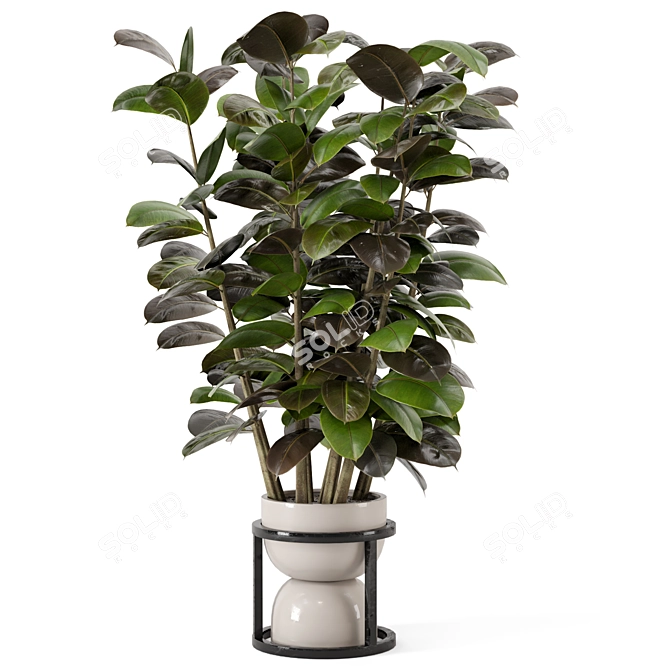 Rusty Concrete Pot Indoor Plants 3D model image 6