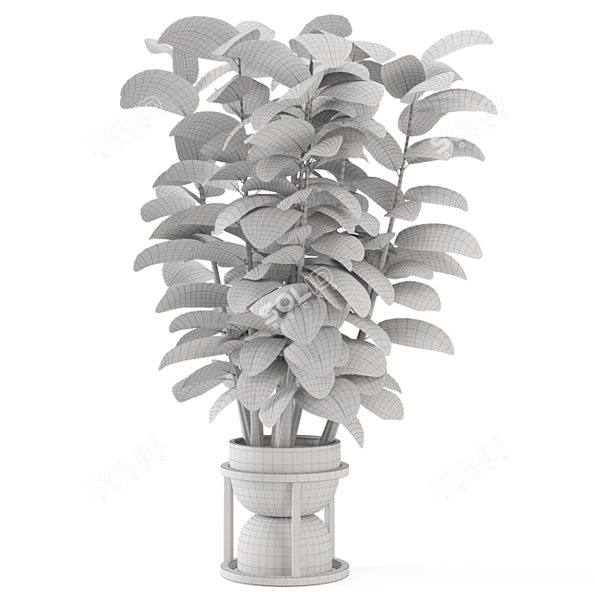 Rusty Concrete Pot Indoor Plants 3D model image 7