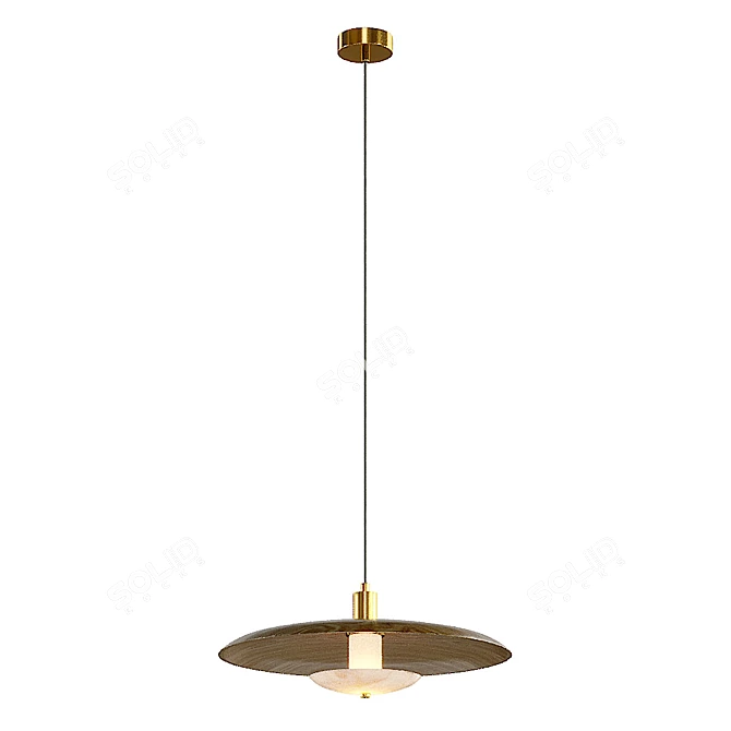 Reason Pendant Lamp: Stylish Lighting Solution 3D model image 3