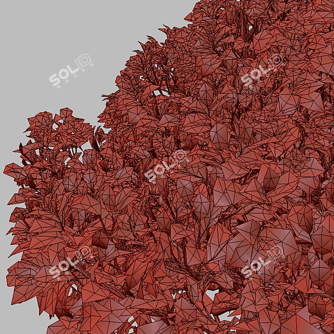 Vibrant Siberian Dogwood Shrub Set 3D model image 5