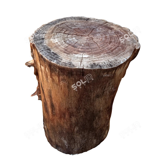 Vintage Tree Trunk Sculpture 3D model image 3