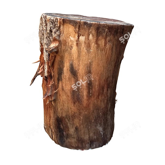 Vintage Tree Trunk Sculpture 3D model image 4