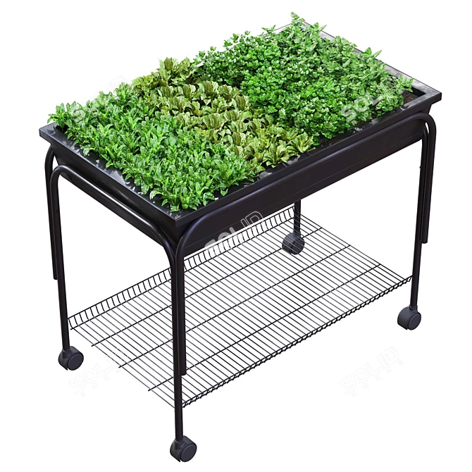 Fresh Green Herb Bundle: Spinach, Basil, Parsley 3D model image 1