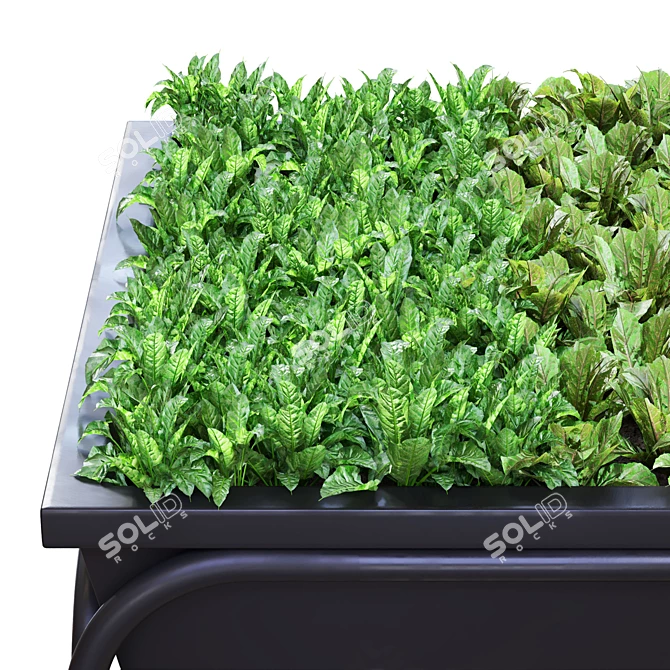 Fresh Green Herb Bundle: Spinach, Basil, Parsley 3D model image 2
