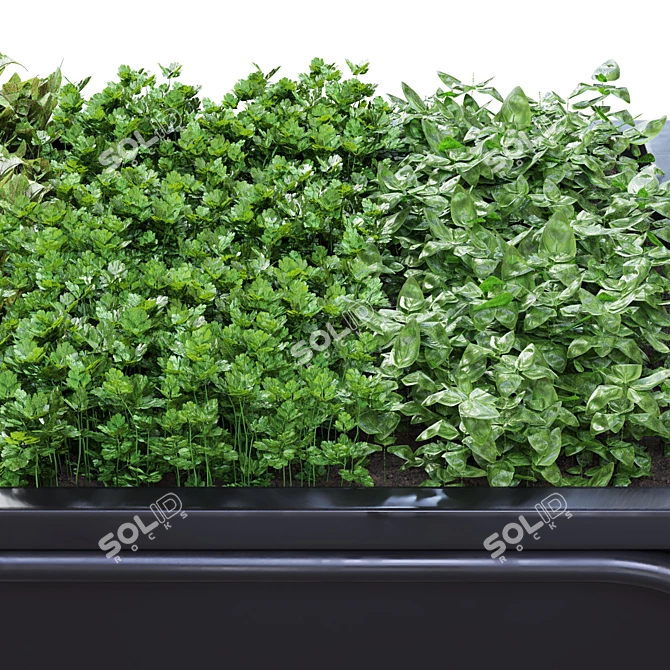 Fresh Green Herb Bundle: Spinach, Basil, Parsley 3D model image 3
