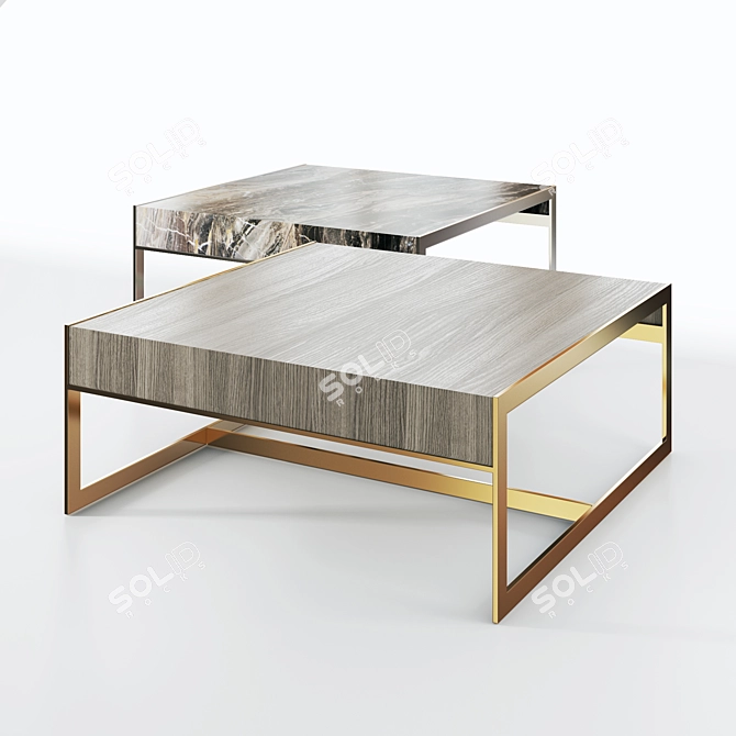 Elegant Anthony Coffee Table 3D model image 1