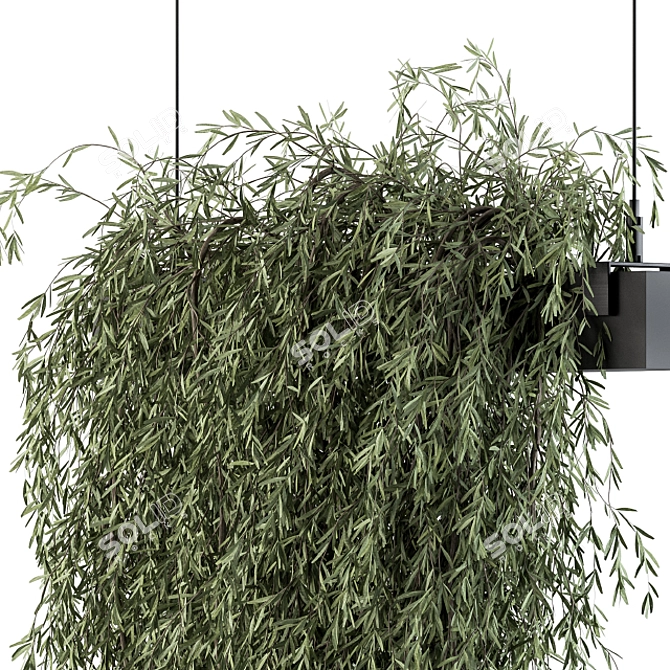 Lush & Lovely: Indoor Hanging Plant Set 3D model image 2