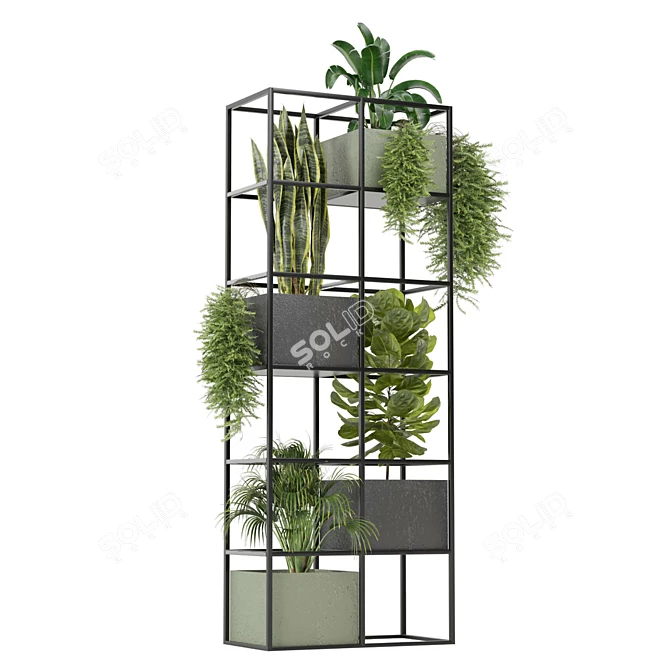 Rusty Concrete Pot Indoor Plants 3D model image 2