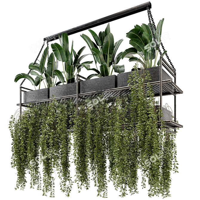 Metal Box Hanging Plants - Set 269 3D model image 1