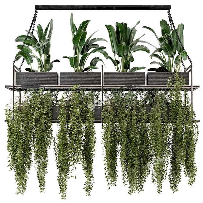 Metal Box Hanging Plants - Set 269 3D model image 2
