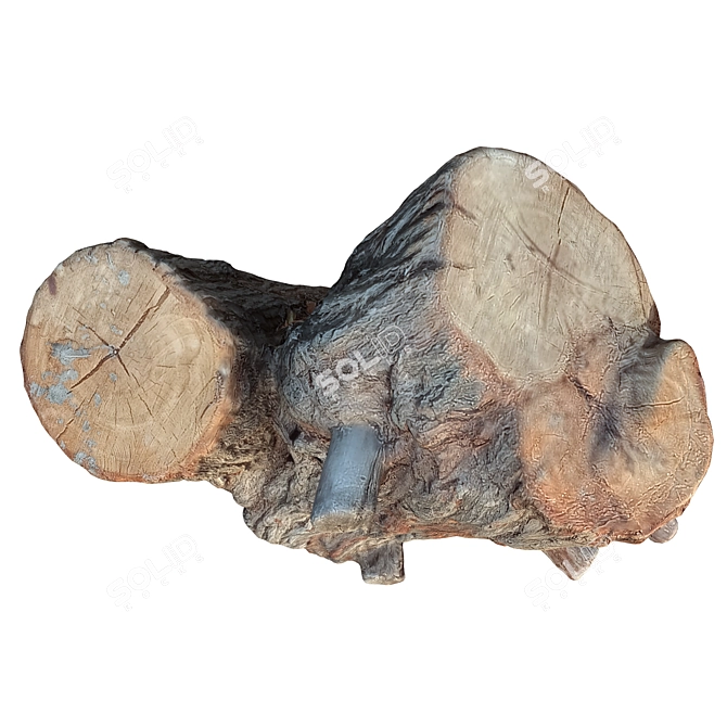 14-Inch Tree Trunk Sculpture 3D model image 5