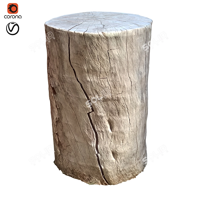 Natural Tree Trunk 16-inch 3D model image 1