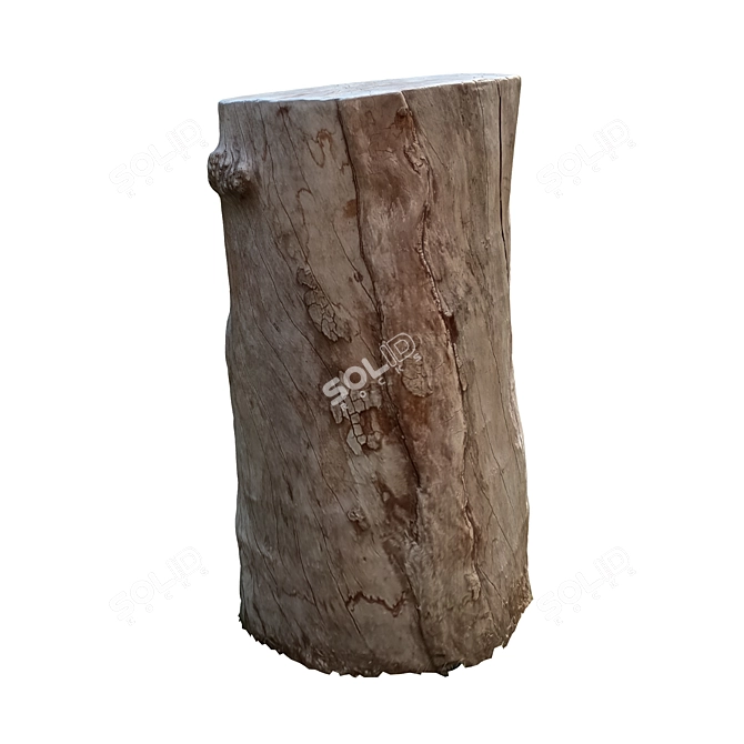 Natural Tree Trunk 16-inch 3D model image 4