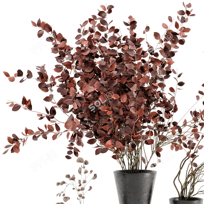 Rusty Concrete Indoor Plants - Set 270 3D model image 4
