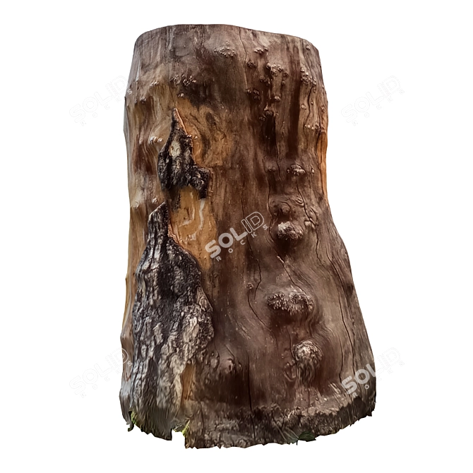 Vintage Tree Trunk Decor 18 3D model image 2