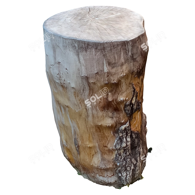 Vintage Tree Trunk Decor 18 3D model image 4