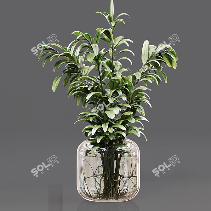 Premium Indoor Plant Collection 3D model image 3