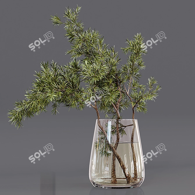 Premium Indoor Plant Collection 3D model image 5