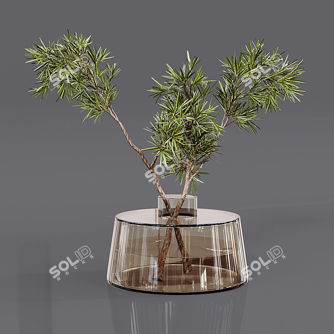 Premium Indoor Plant Collection 3D model image 6