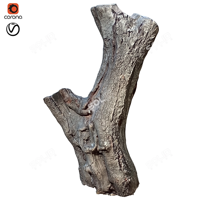 Natural Wood Tree Trunk Décor 3D model image 1